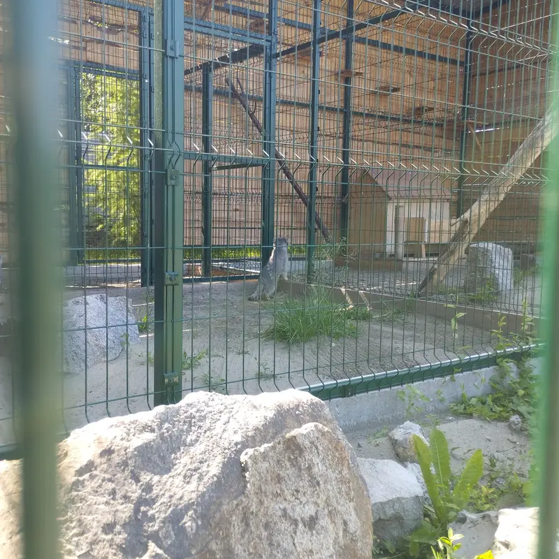 A photograph of Pepe and Chip in Barnaul zoo “Lesnaya skazka”