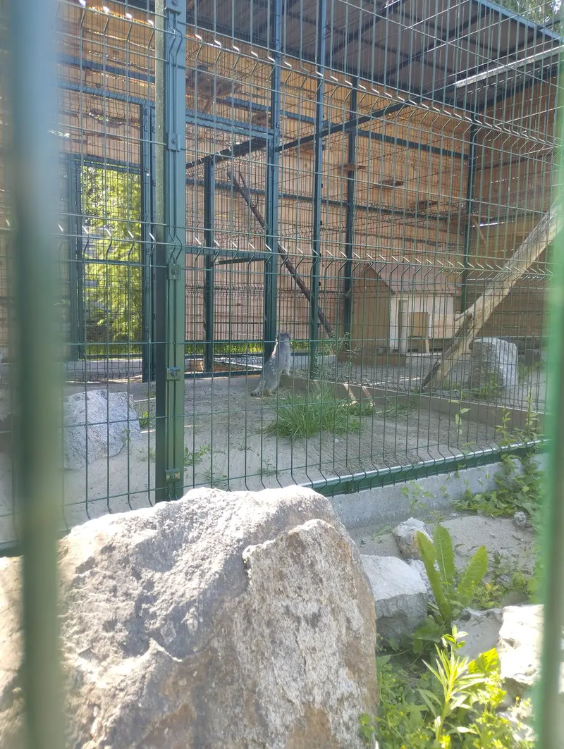 A photograph of Pepe and Chip in Barnaul zoo “Lesnaya skazka”