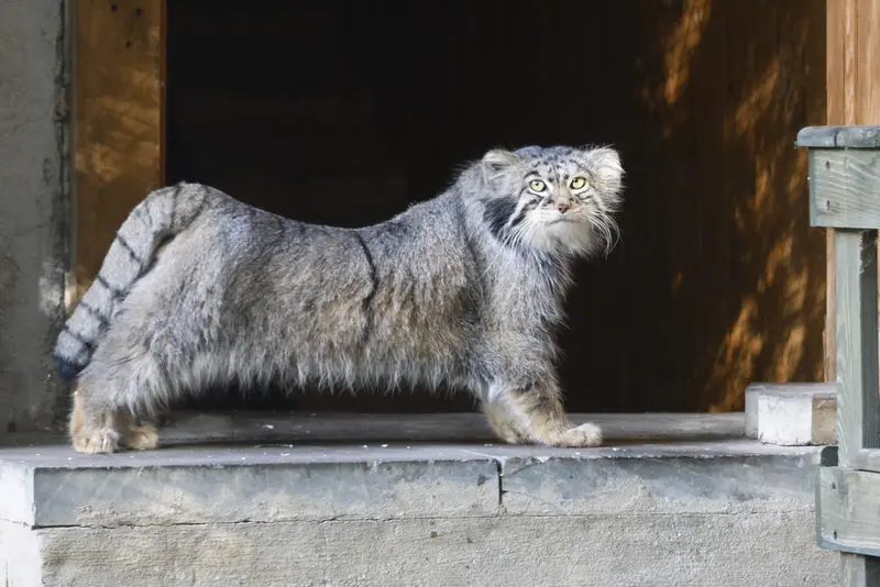 A photograph of Timofey in Moscow zoo