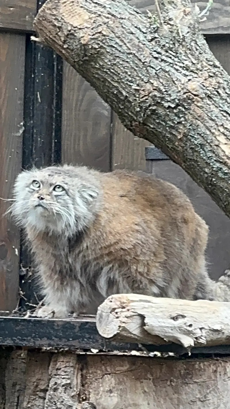 A photograph of Jessie in Warsaw Zoo