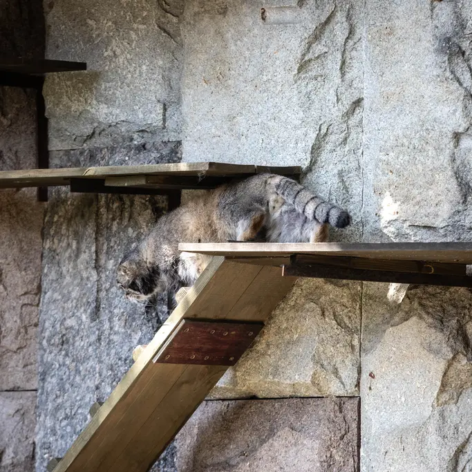 A photograph of Timofey in Moscow zoo