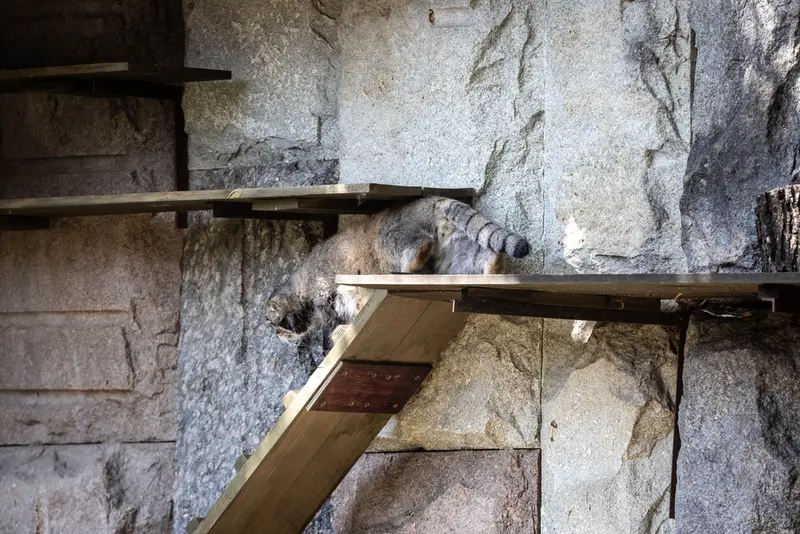 A photograph of Timofey in Moscow zoo