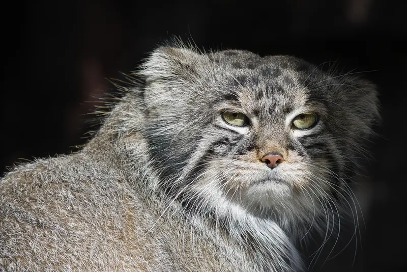 A photograph of Timofey in Moscow zoo