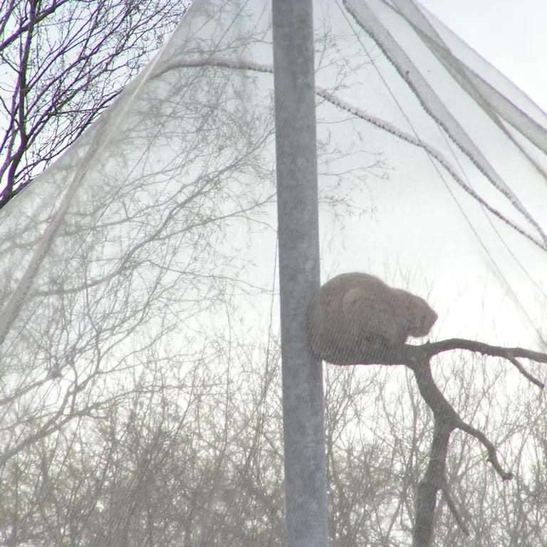 A photograph of Bat-Erdene in The Lakeland Wildlife Oasis
