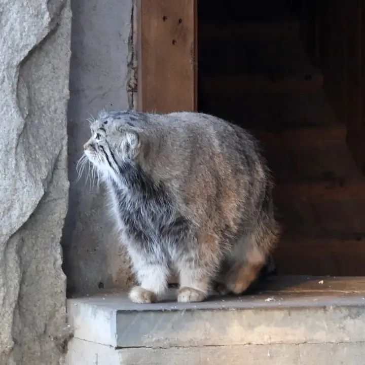 A photograph of Timofey in Moscow zoo