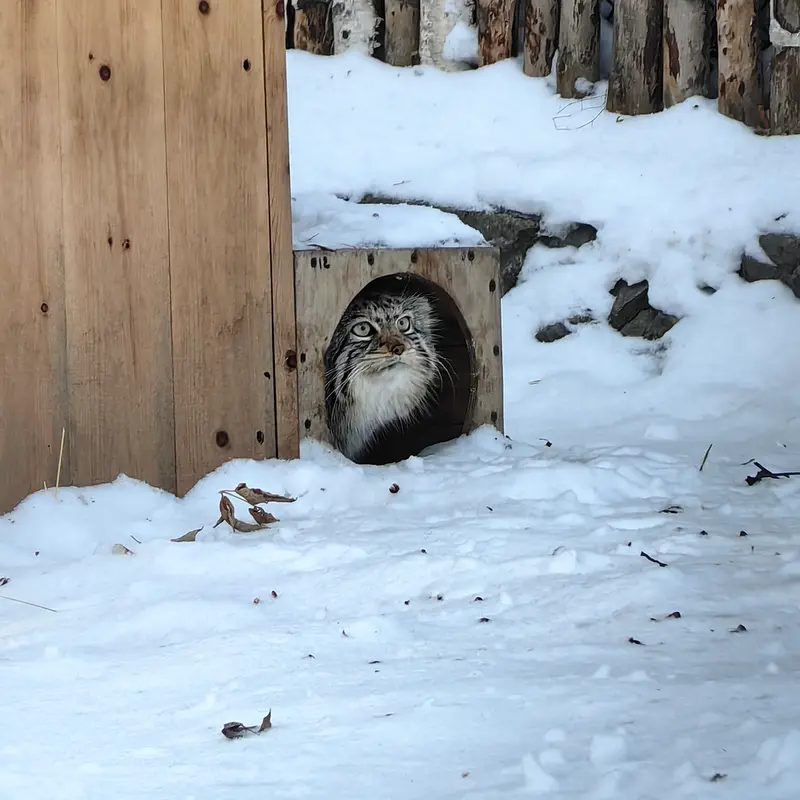 A photograph of Eve in Novosibirsk Zoo
