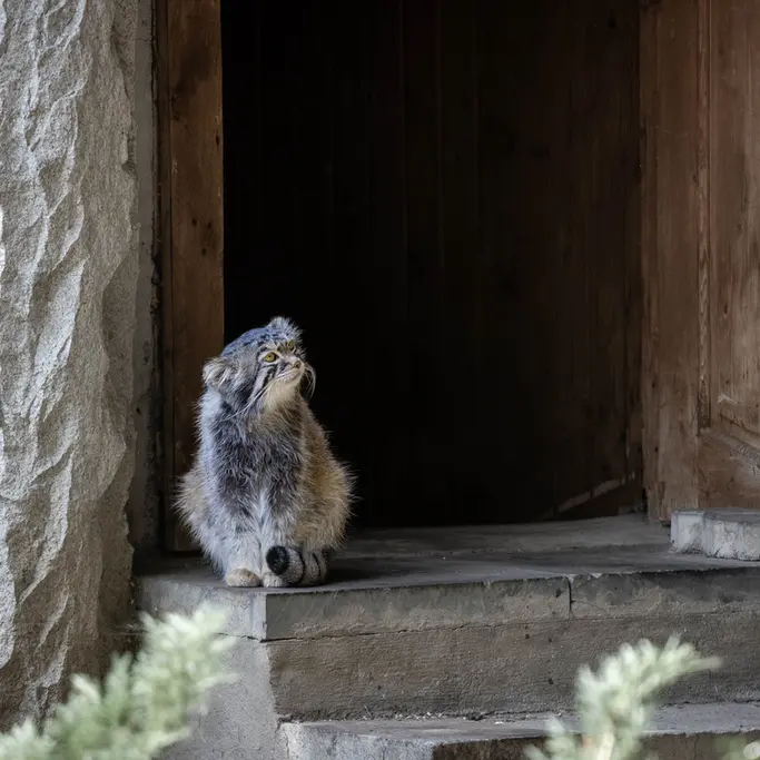 A photograph of Timofey in Moscow zoo
