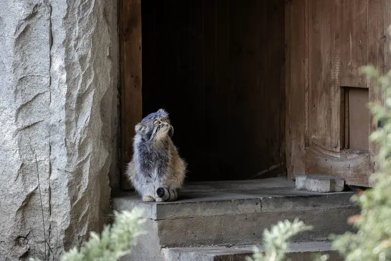 A photograph of Timofey in Moscow zoo