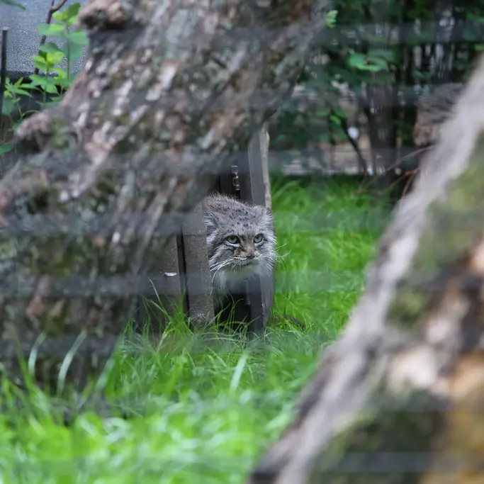 A photograph of Jessie in Warsaw Zoo
