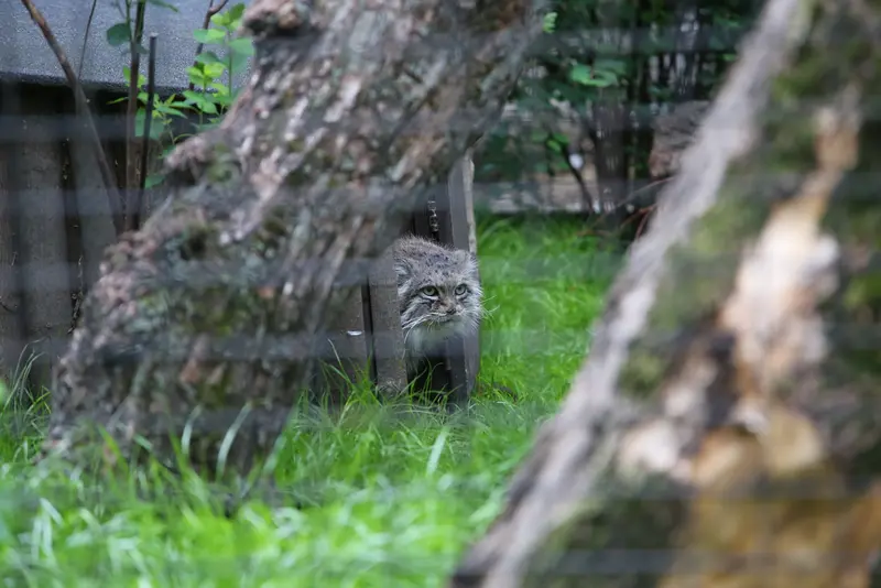 A photograph of Jessie in Warsaw Zoo