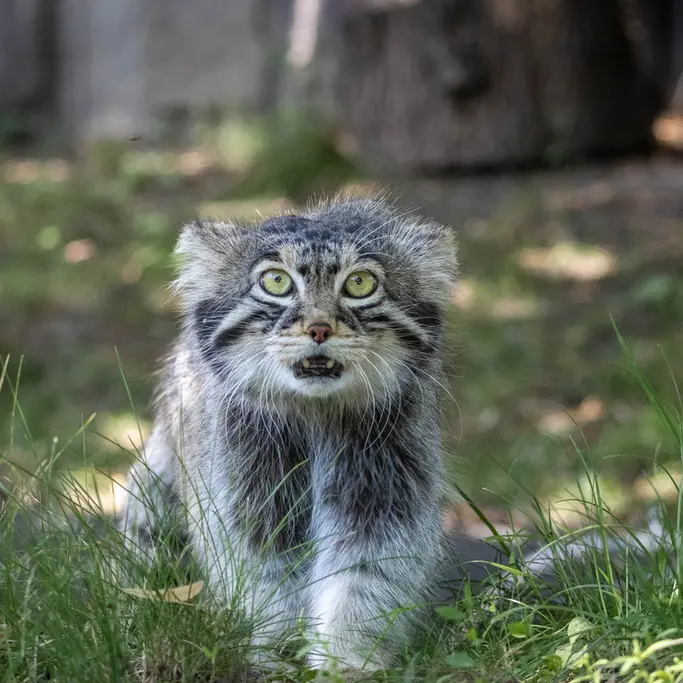 A photograph of Timofey in Moscow zoo