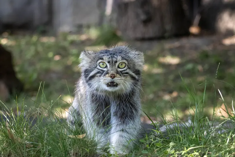 A photograph of Timofey in Moscow zoo
