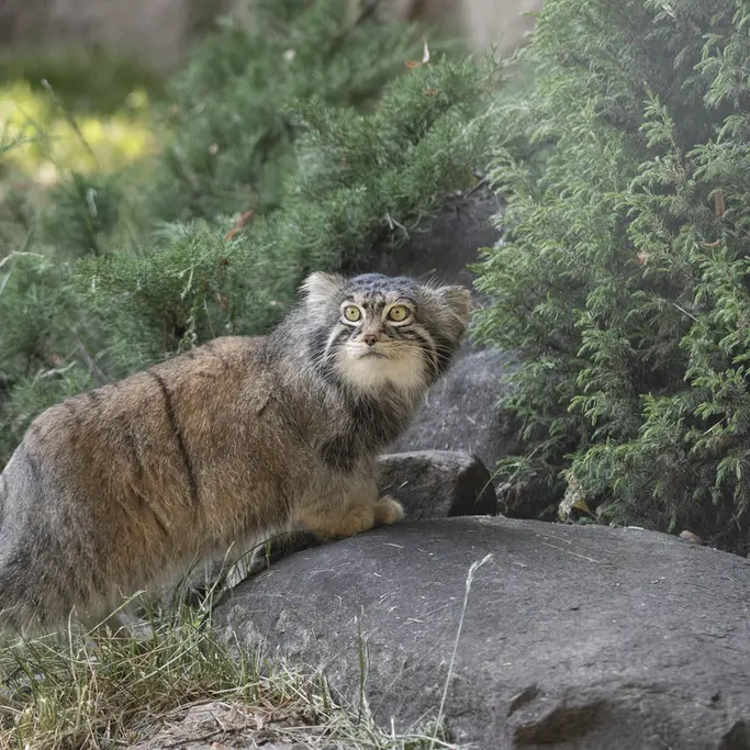 A photograph of Timofey in Moscow zoo