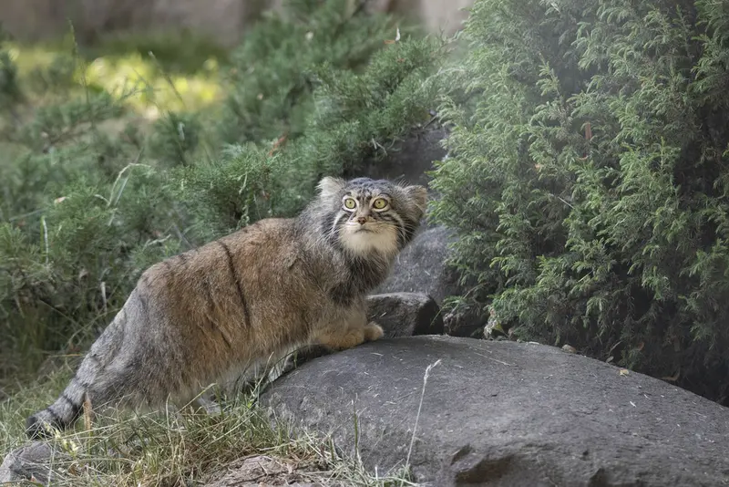 A photograph of Timofey in Moscow zoo