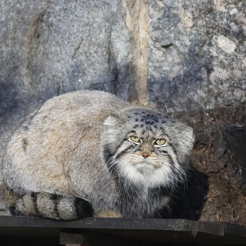 A photograph of Timofey in Moscow zoo