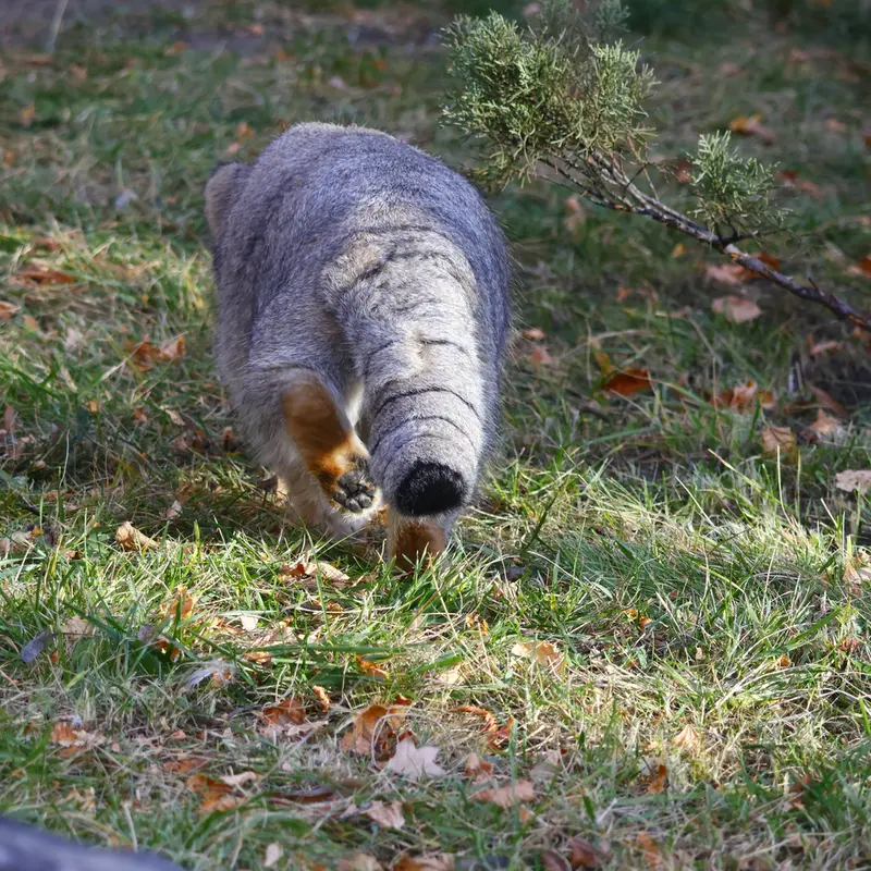 A photograph of Timofey in Moscow zoo