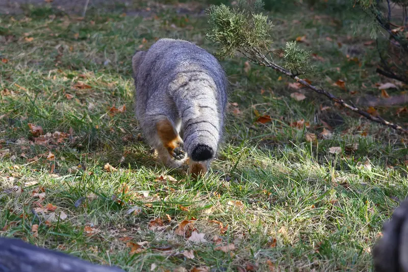 A photograph of Timofey in Moscow zoo
