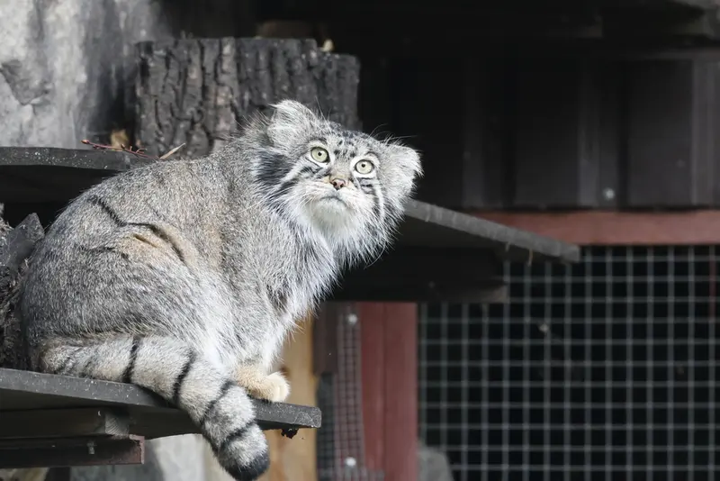 A photograph of Timofey in Moscow zoo