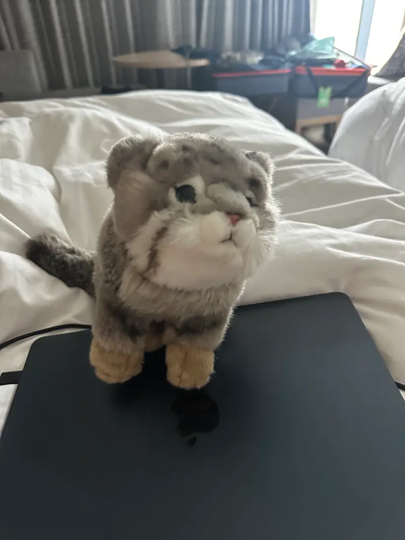 Flying back to Australia today! Bringing this guy on the flight!