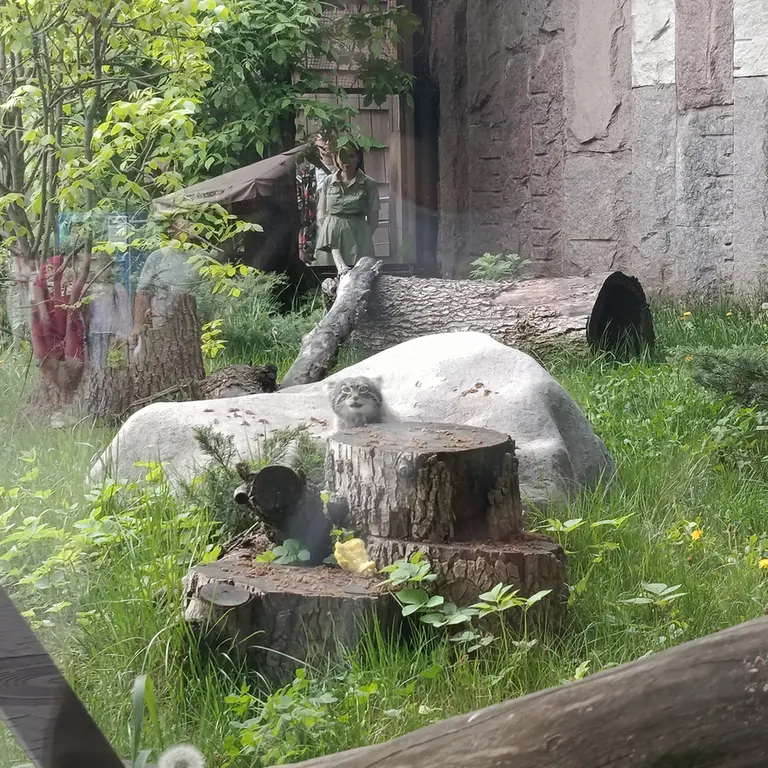 A photograph of Timofey in Moscow zoo