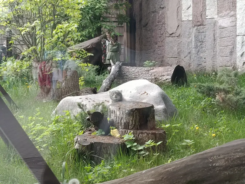 A photograph of Timofey in Moscow zoo