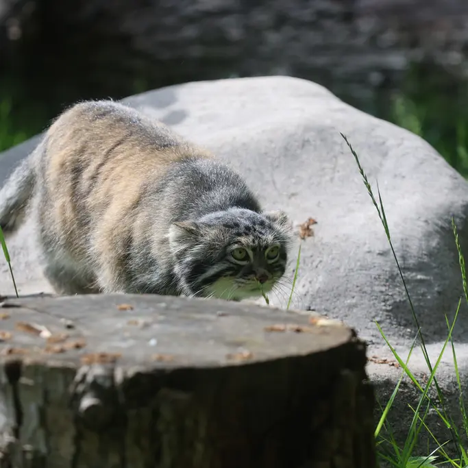A photograph of Timofey in Moscow zoo