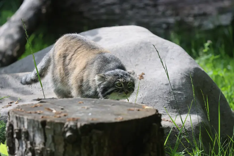 A photograph of Timofey in Moscow zoo