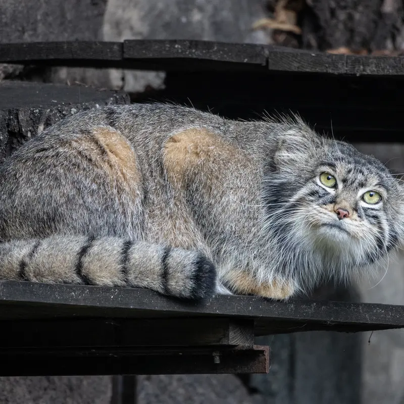 A photograph of Timofey in Moscow zoo
