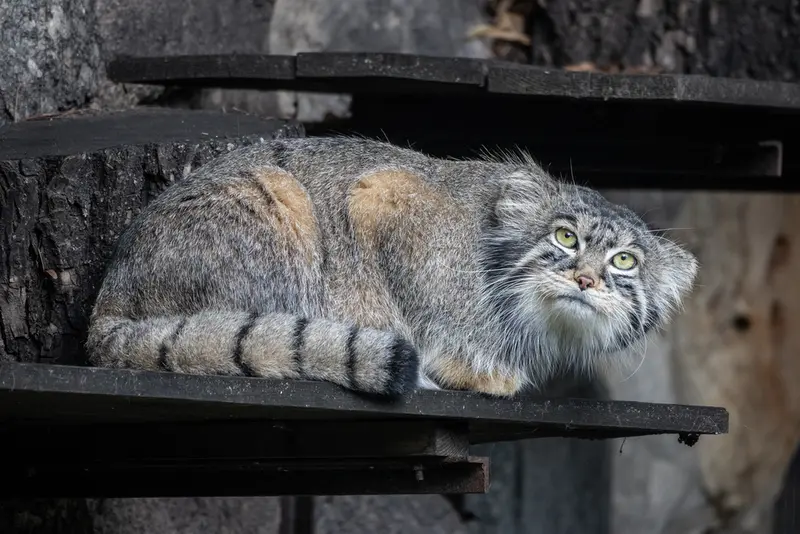 A photograph of Timofey in Moscow zoo