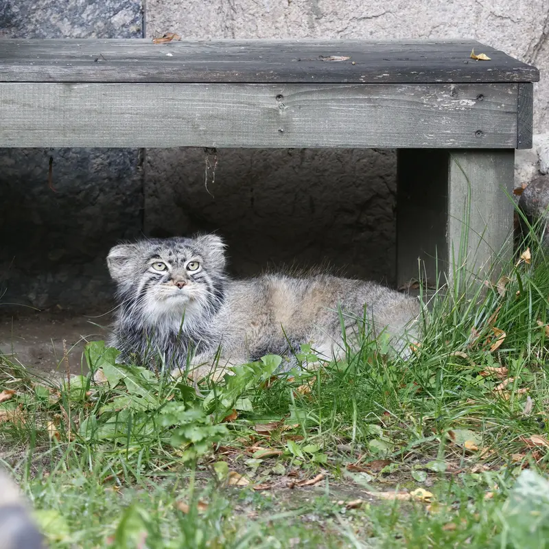 A photograph of Timofey in Moscow zoo