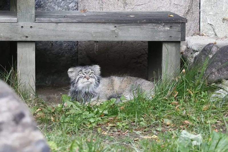 A photograph of Timofey in Moscow zoo