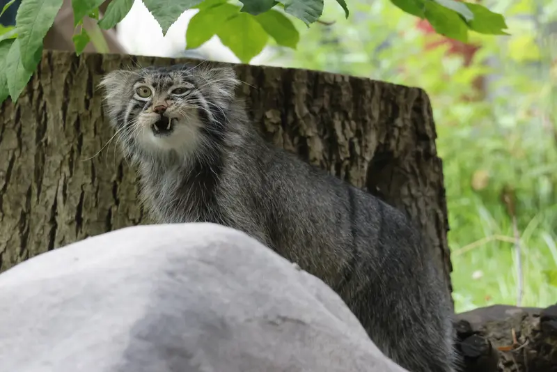 A photograph of Timofey in Moscow zoo