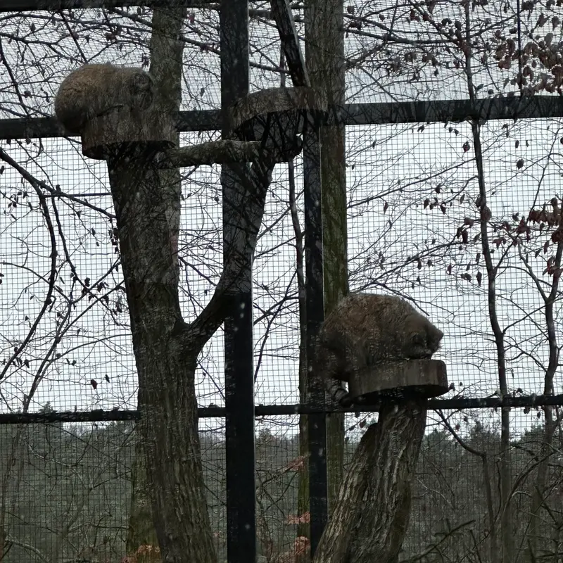 A photograph of Ula and Manuel in Gdansk Zoo