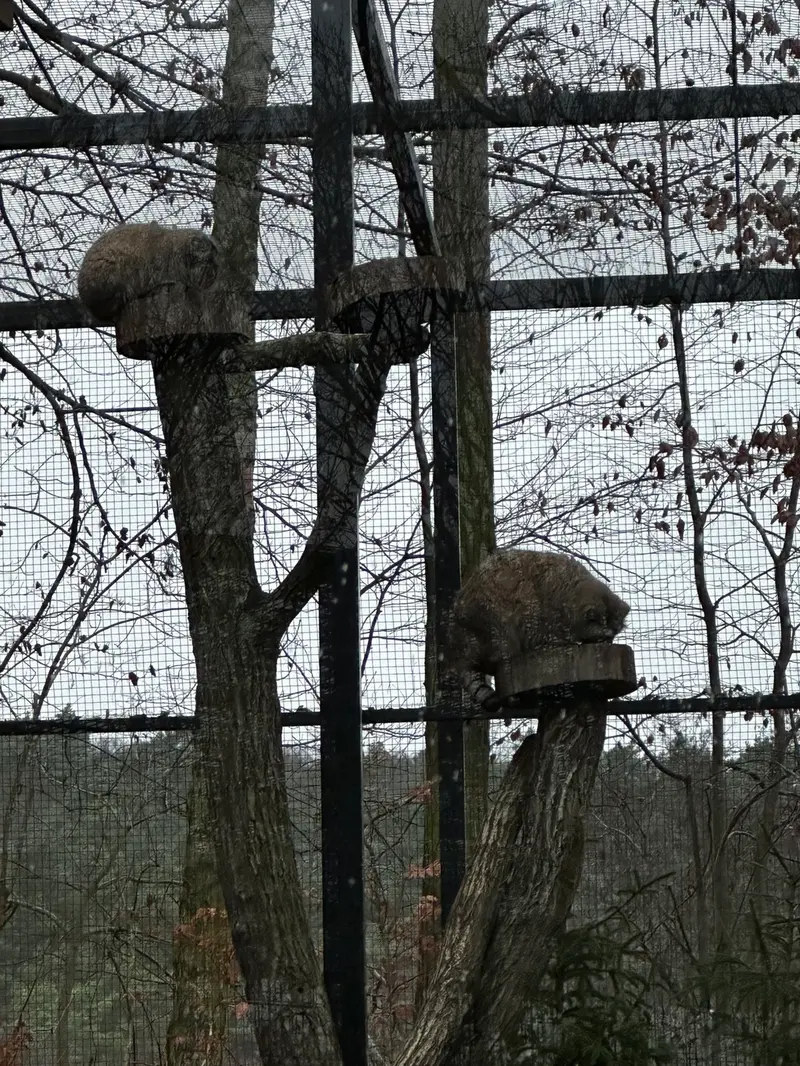 A photograph of Ula and Manuel in Gdansk Zoo