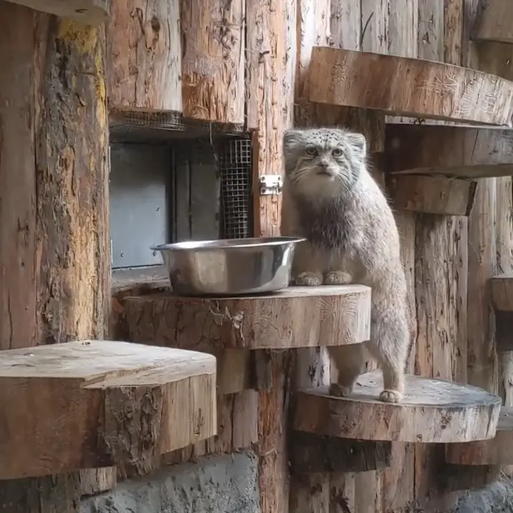 A photograph of Namika in Leningrad zoo