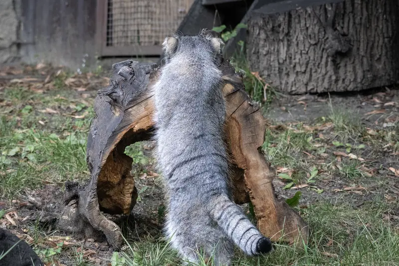 A photograph of Timofey in Moscow zoo