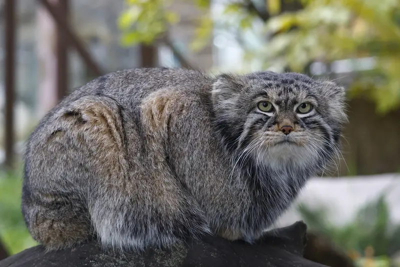 A photograph of Timofey in Moscow zoo