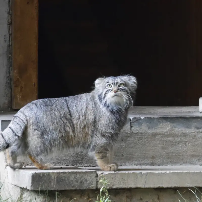 A photograph of Timofey in Moscow zoo