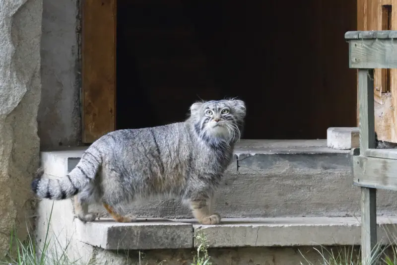 A photograph of Timofey in Moscow zoo