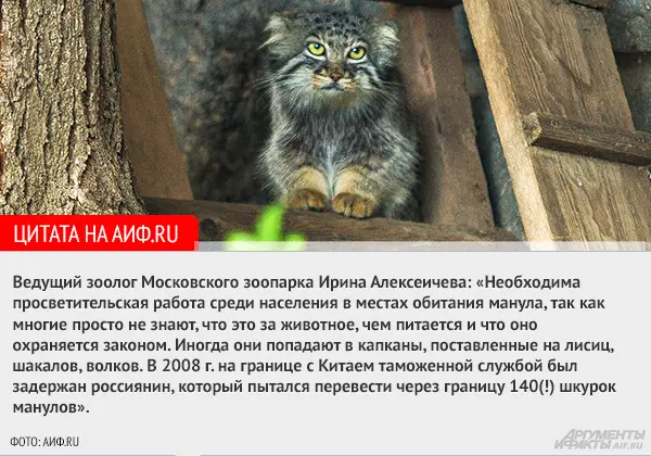 A photograph of Varvara in Moscow zoo