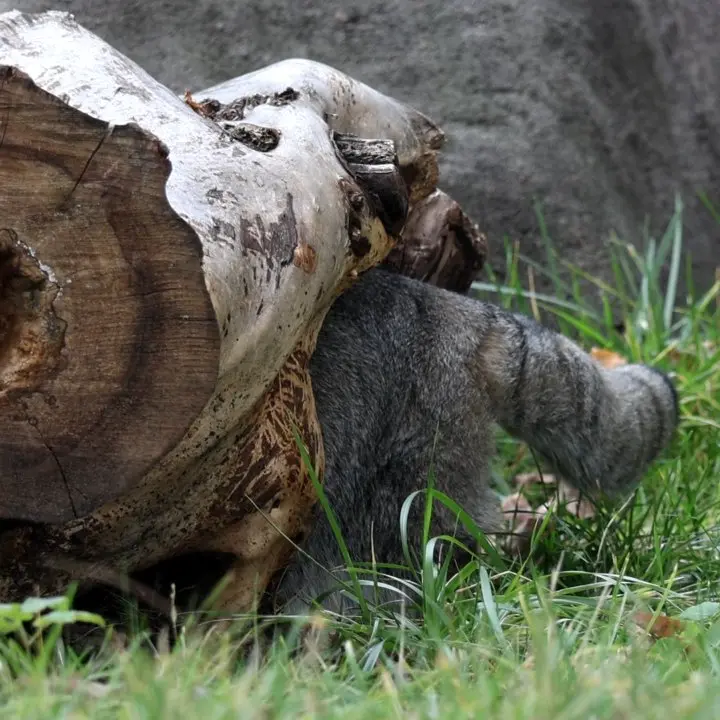 A photograph of Timofey in Moscow zoo