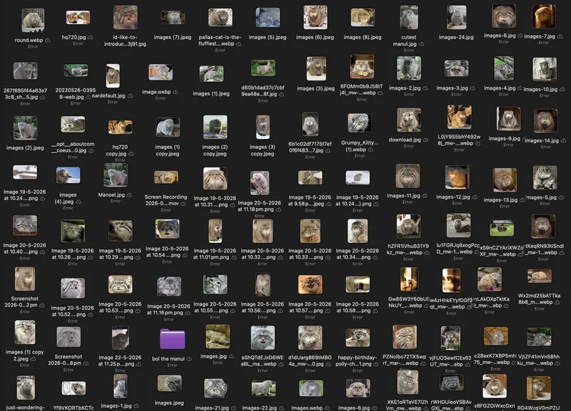 Do you have a big collection of Manuls aswell?