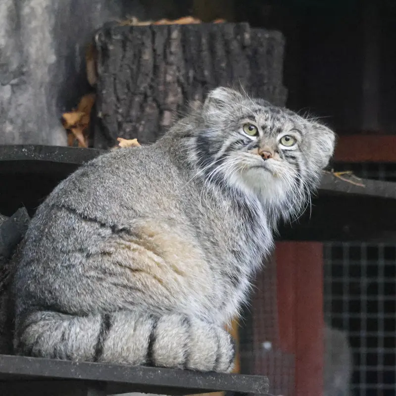 A photograph of Timofey in Moscow zoo