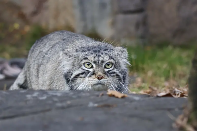 A photograph of Timofey in Moscow zoo