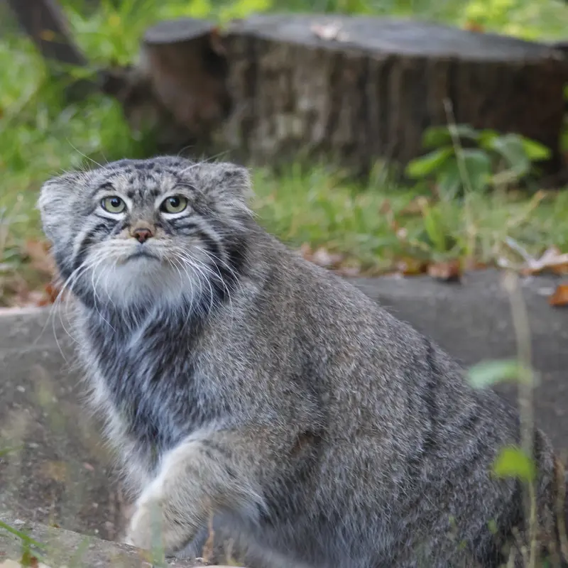 A photograph of Timofey in Moscow zoo