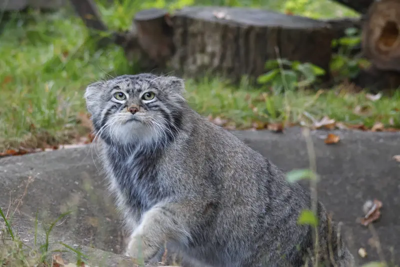 A photograph of Timofey in Moscow zoo