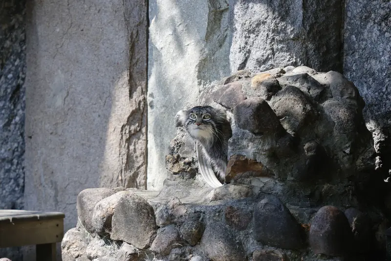A photograph of Timofey in Moscow zoo