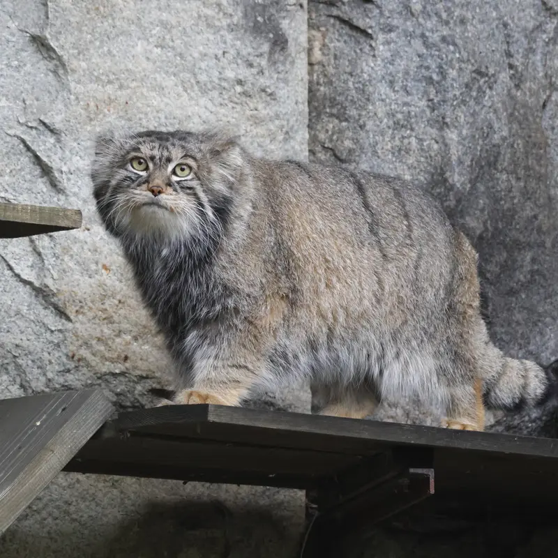 A photograph of Timofey in Moscow zoo