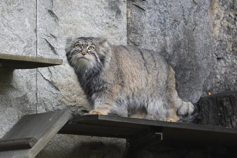 A photograph of Timofey in Moscow zoo