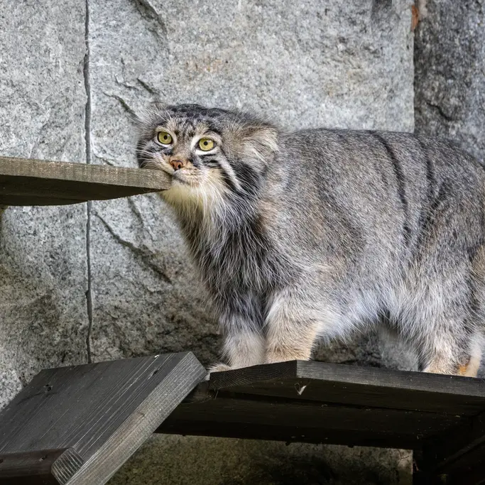 A photograph of Timofey in Moscow zoo